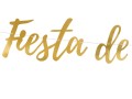 fe8ca58036ff09c604526ced7d8d10aa