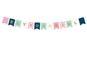 Banner Boy or Girl, Mix, 15 x 175 cm