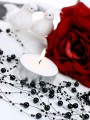 4b7c91bbcd6c5ea04f9964be850fd797