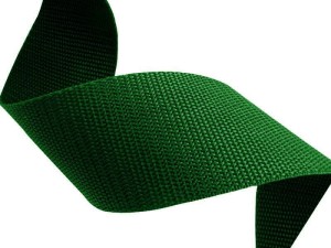 Gurtband 10mm, Länge 2m, Farbe Grün (876)